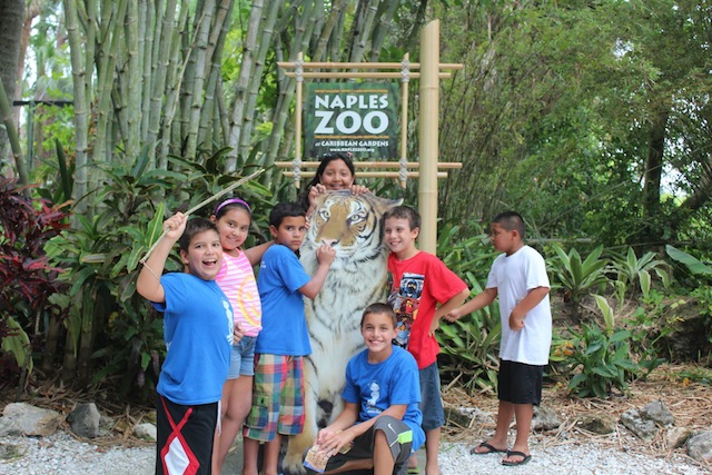 Naples Zoo is planned for 2013